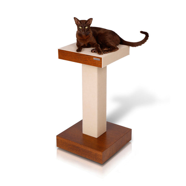 kolumn - cat tower - david rotstein
