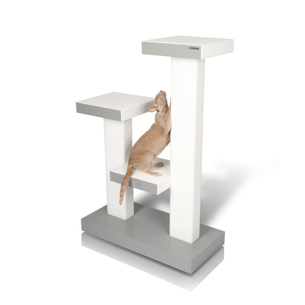 kactus - cat tower - david rotstein
