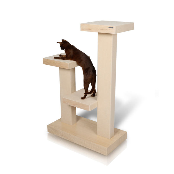 kactus - cat tower - david rotstein