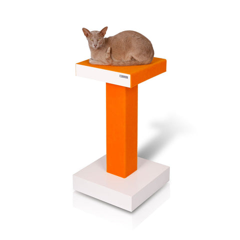 kolumn - cat tower - david rotstein