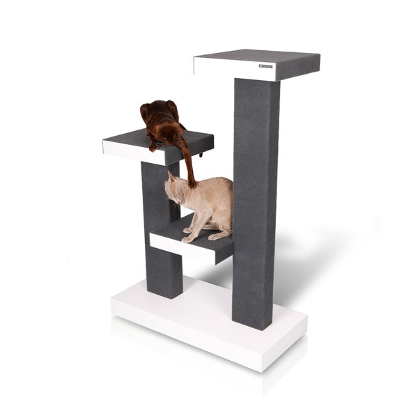 kactus - cat tower - david rotstein